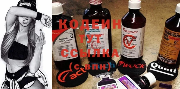 соль ск Нея