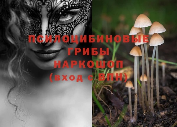 mdpv Навашино