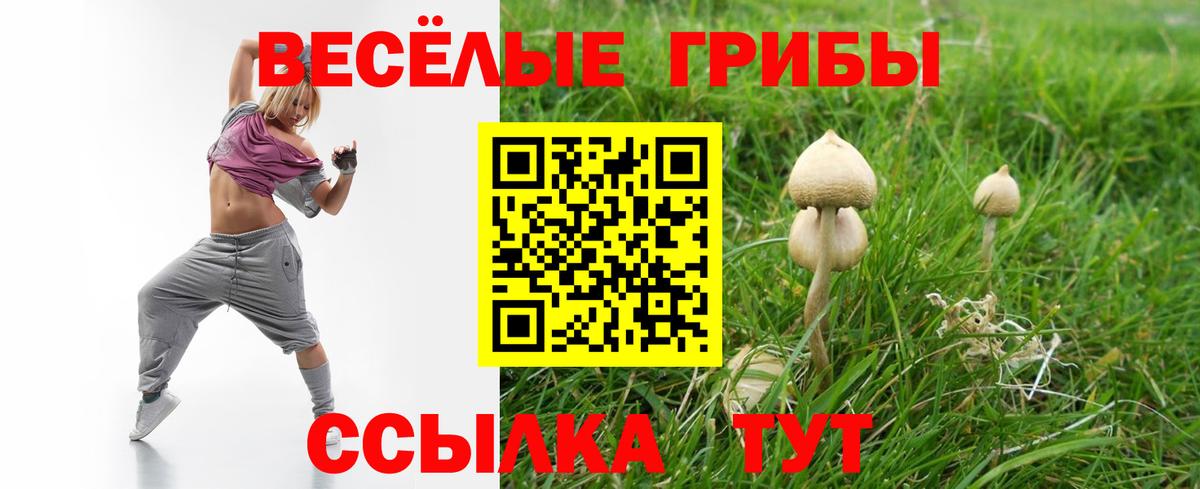 сколько стоит  Вход с VPN  Партизанск  Псилоцибиновые грибы Cubensis 