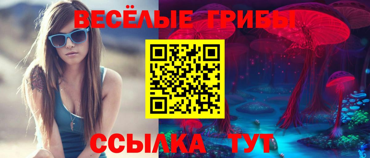 Галлюциногенные грибы прущие грибы Партизанск